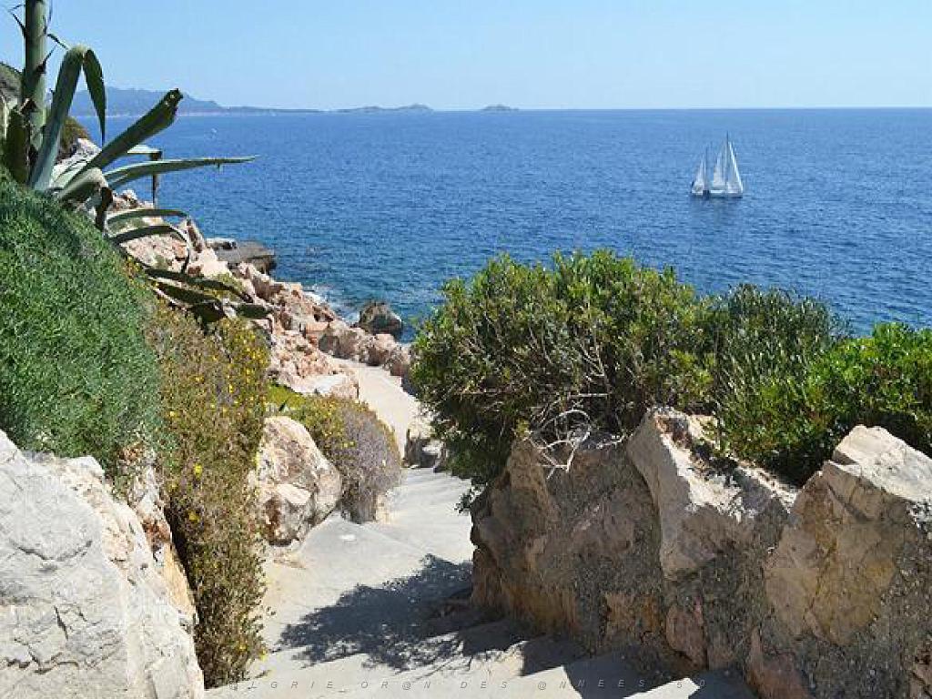 183 D33 ILE DE BENDOR_000010.jpg